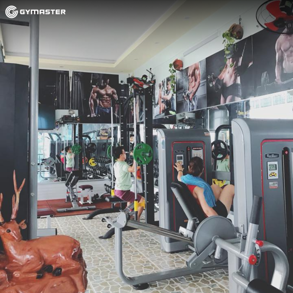 TƯ VẤN SETUP PHÒNG GYM HOA NHÍ GYM & FITNESS TÂY NINH 11