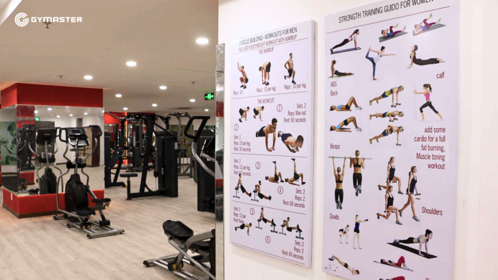 TƯ VẤN SETUP PHÒNG GYM ĐẠI HỌC HỒNG BÀNG - SULYNA GYM FITNESS CENTER 14 TƯ VẤN SETUP PHÒNG GYM ĐẠI HỌC HỒNG BÀNG - SULYNA GYM FITNESS CENTER 14
