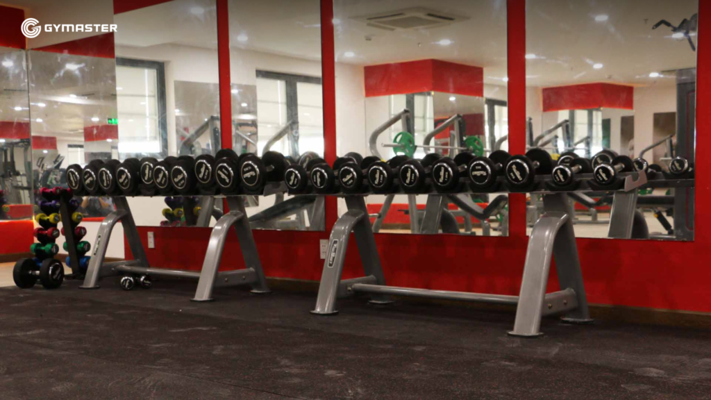 TƯ VẤN SETUP PHÒNG GYM ĐẠI HỌC HỒNG BÀNG - SULYNA GYM FITNESS CENTER 18 TƯ VẤN SETUP PHÒNG GYM ĐẠI HỌC HỒNG BÀNG - SULYNA GYM FITNESS CENTER 18