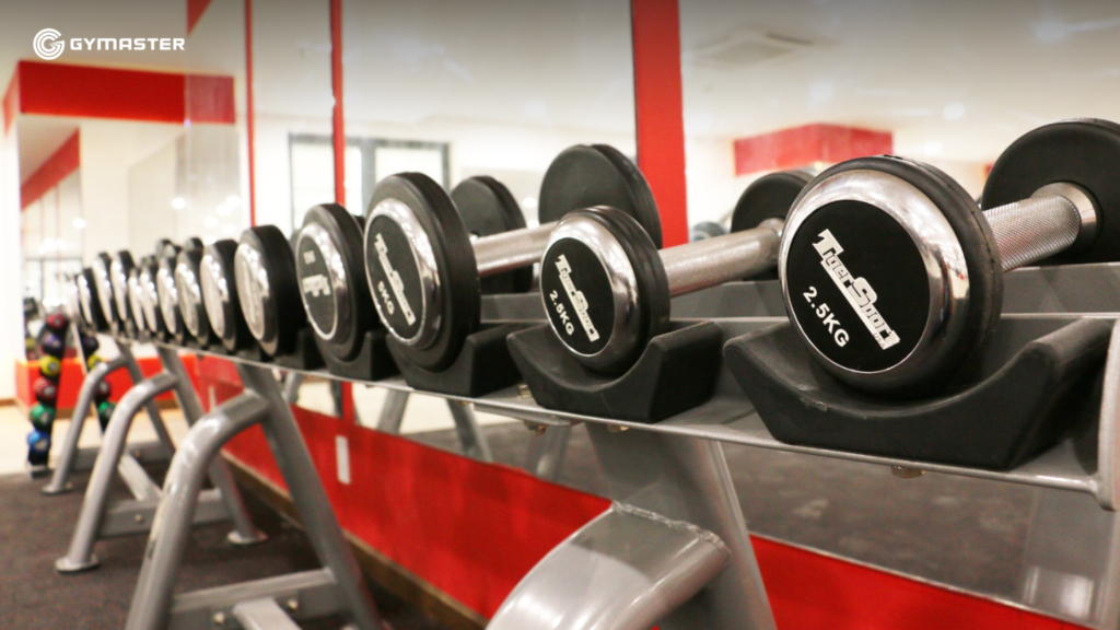 TƯ VẤN SETUP PHÒNG GYM ĐẠI HỌC HỒNG BÀNG - SULYNA GYM FITNESS CENTER 6 TƯ VẤN SETUP PHÒNG GYM ĐẠI HỌC HỒNG BÀNG - SULYNA GYM FITNESS CENTER 6