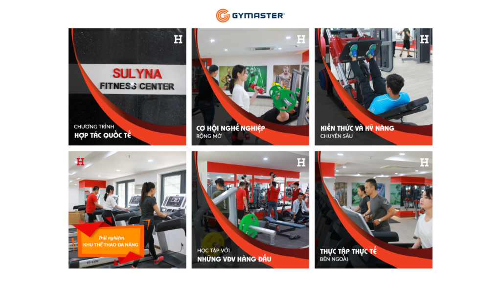 TƯ VẤN SETUP PHÒNG GYM ĐẠI HỌC HỒNG BÀNG - SULYNA GYM FITNESS CENTER 13 TƯ VẤN SETUP PHÒNG GYM ĐẠI HỌC HỒNG BÀNG - SULYNA GYM FITNESS CENTER 13