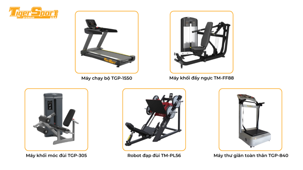 TƯ VẤN SETUP PHÒNG GYM HOA NHÍ GYM & FITNESS TÂY NINH 5