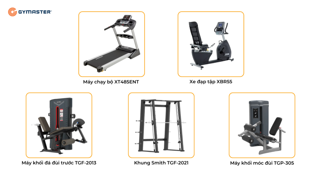 TƯ VẤN SETUP PHÒNG GYM CITYLAND GARDEN HILLS GÒ VẤP - TẬP ĐOÀN CITYLAND GROUP 5