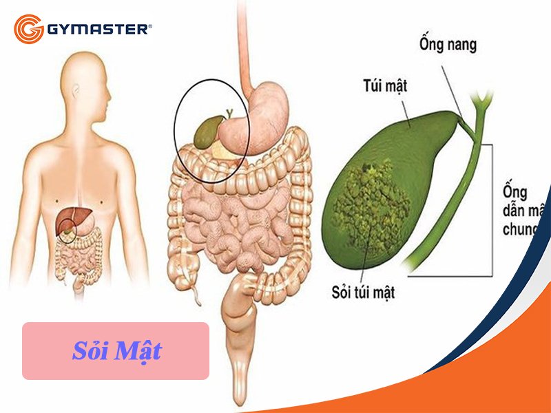 Hậu Quả Khôn Lường Khi Nhịn Ăn Để Giảm Cân 4