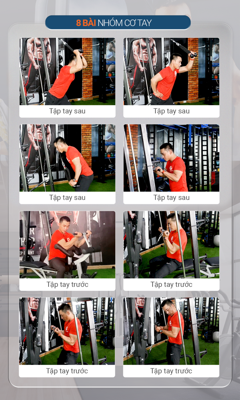 Giàn tạ đa năng Tiger Sport TGH-998 16