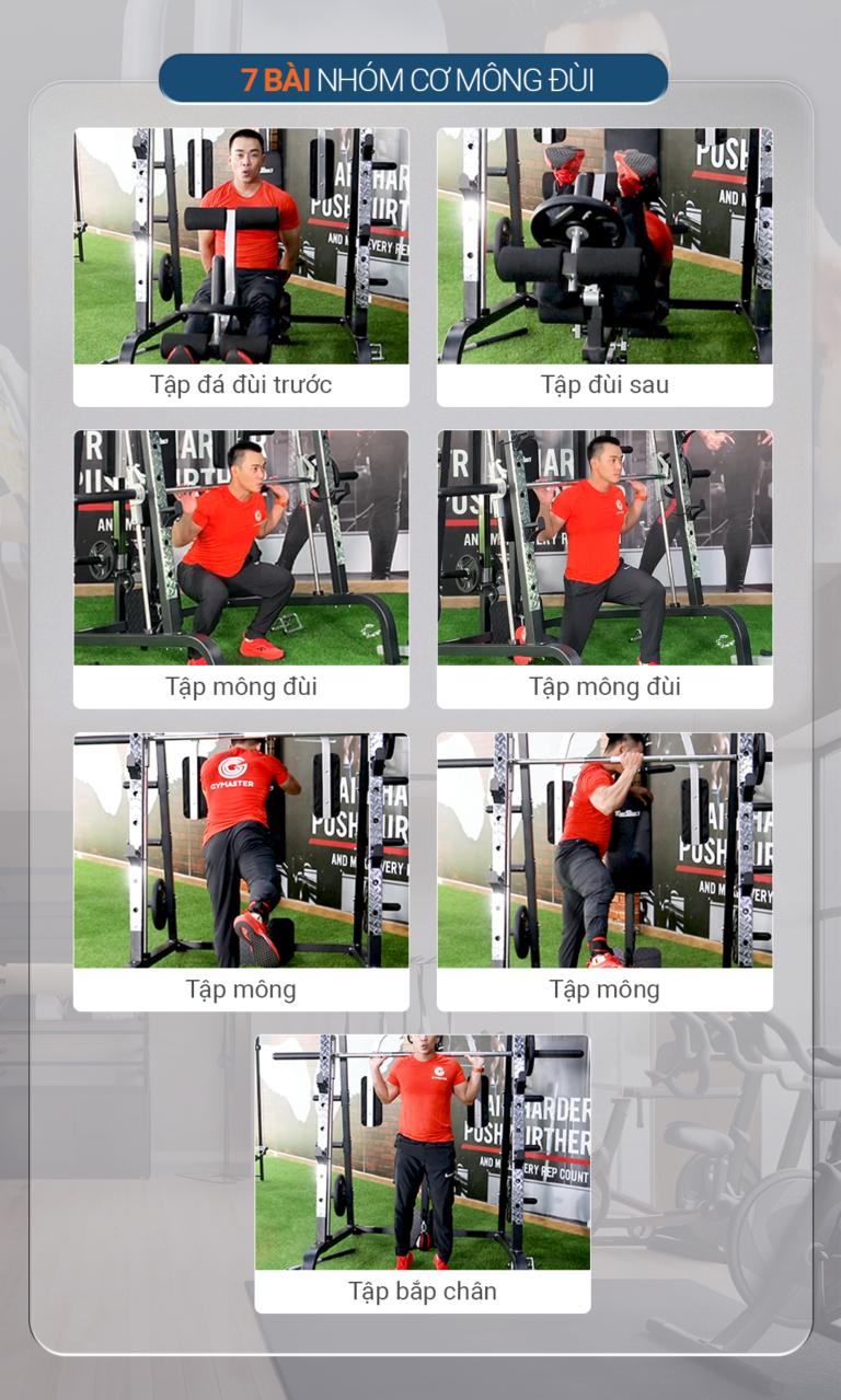 Giàn tạ đa năng Tiger Sport TGH-998 13