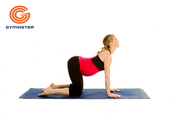 bai-tap-yoga-cho-me-bau_02 Những bài tập Yoga mẹ bầu giúp cho thai kỳ phát triển tốt hơn 2