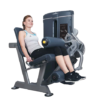 Máy móc đùi sau Tiger Sport TGP-800 3 Máy móc đùi sau Tiger Sport TGP-800 3