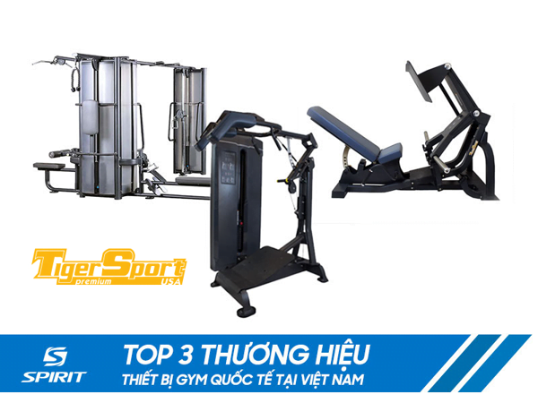 Thiết bị phòng gym Châu Âu chất lượng 3