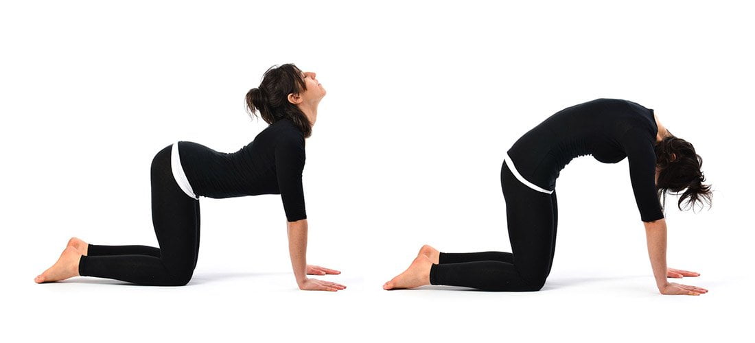 3 Tư thế Yoga đơn giản bạn nên tập vào buổi sáng 1