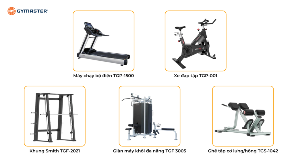 TƯ VẤN SETUP PHÒNG GYM KHÁCH SẠN FLEUR DE LYS QUY NHƠN 6