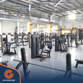 3 Thương Hiệu Thiết Bị Phòng Gym Nhập Khẩu Uy Tín Hiện Nay 26