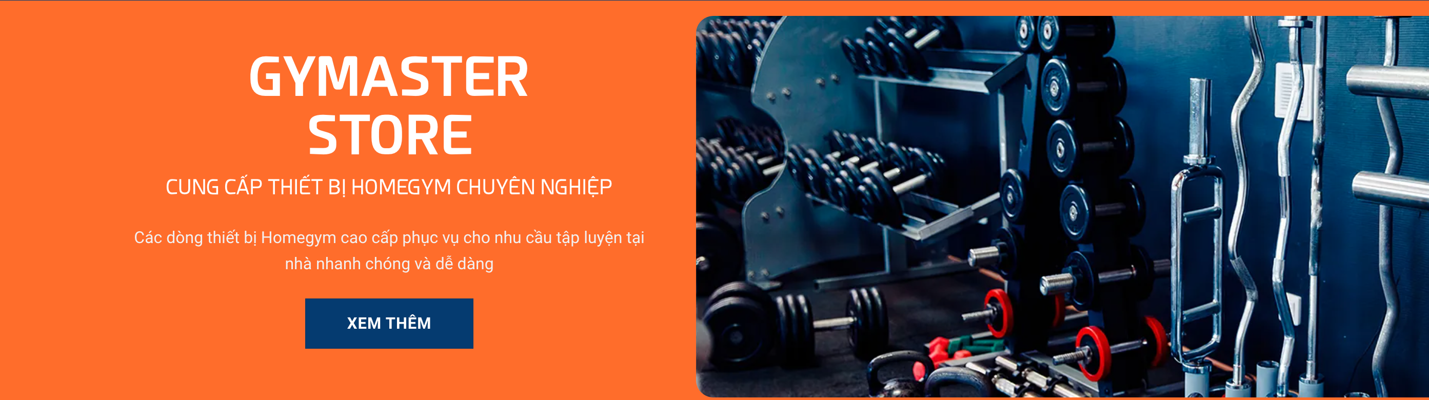 Top 5 Máy Tập Thể Dục Giảm Mỡ Bụng Cho Nữ Hiệu Quả Nhất 7