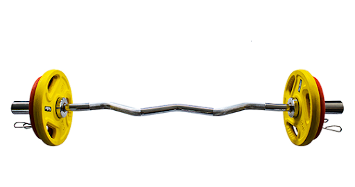 Các Loại Tạ Trong Phòng Tập Thể Hình 6