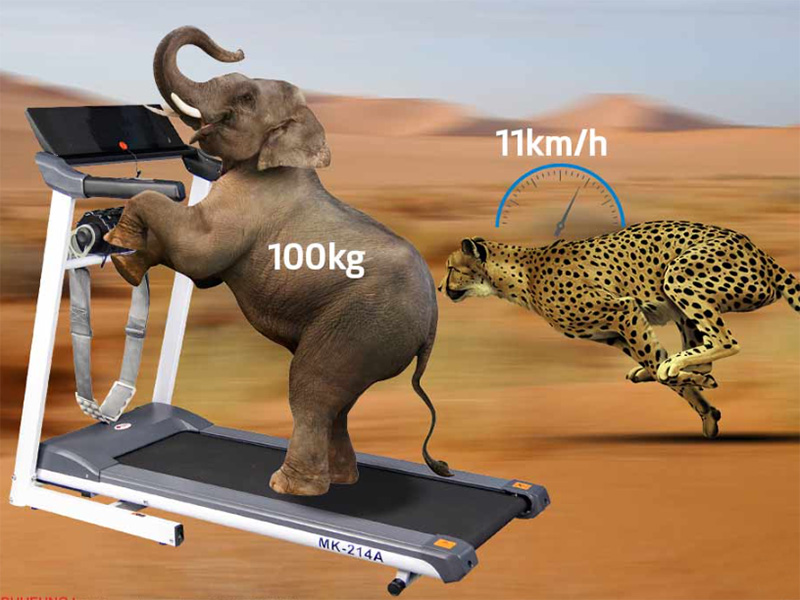 11 Ưu Nhược Điểm Của Máy Chạy Bộ Mini Tại Nhà 5 11 Ưu Nhược Điểm Của Máy Chạy Bộ Mini Tại Nhà 4