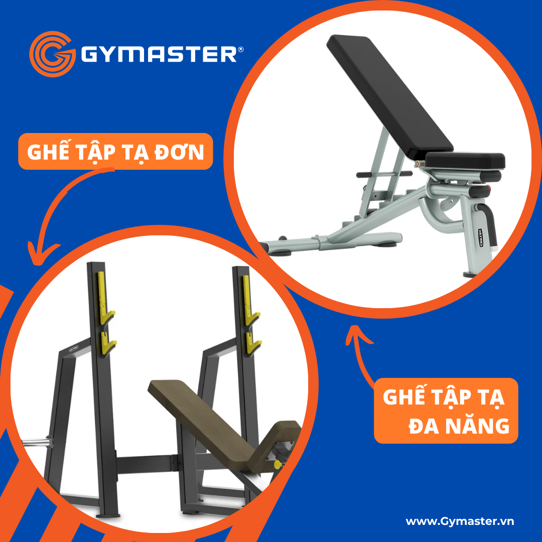 ghế tập tạ đa năng và ghế tập tạ đơn