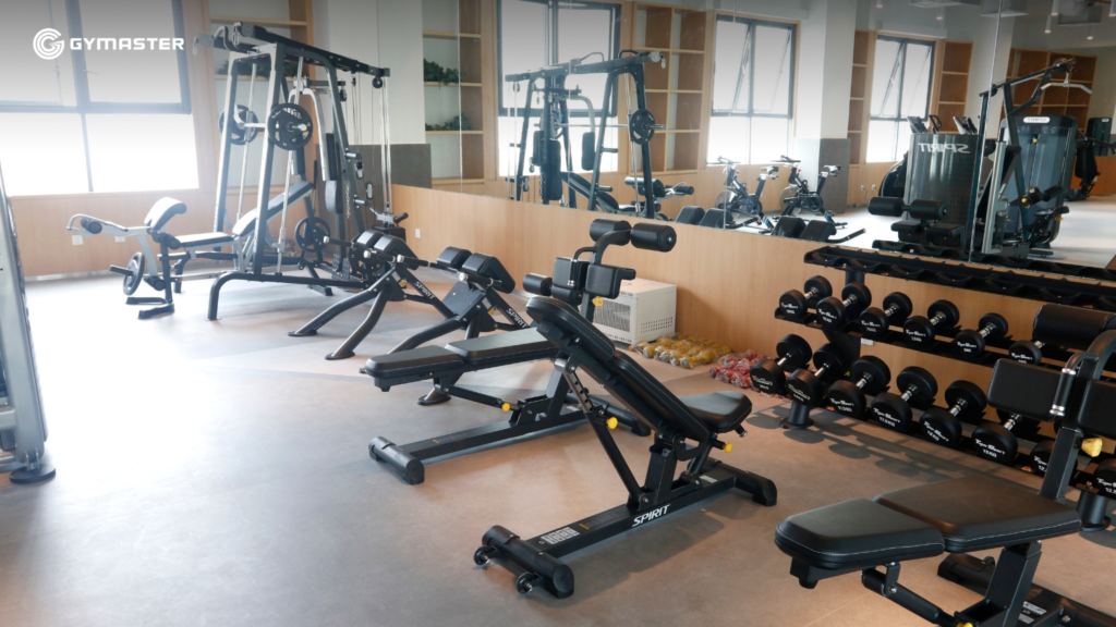 TƯ VẤN SETUP PHÒNG GYM TRƯỜNG ĐINH THIỆN LÝ CƠ SỞ 1 13
