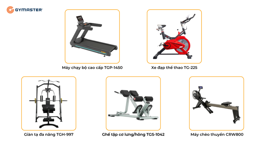 TƯ VẤN SETUP PHÒNG GYM CHUNG CƯ PARIS HOÀNG KIM THỦ ĐỨC - CÔNG TY TNHH XÂY DỰNG & KINH DOANH KHỞI THÀNH 8