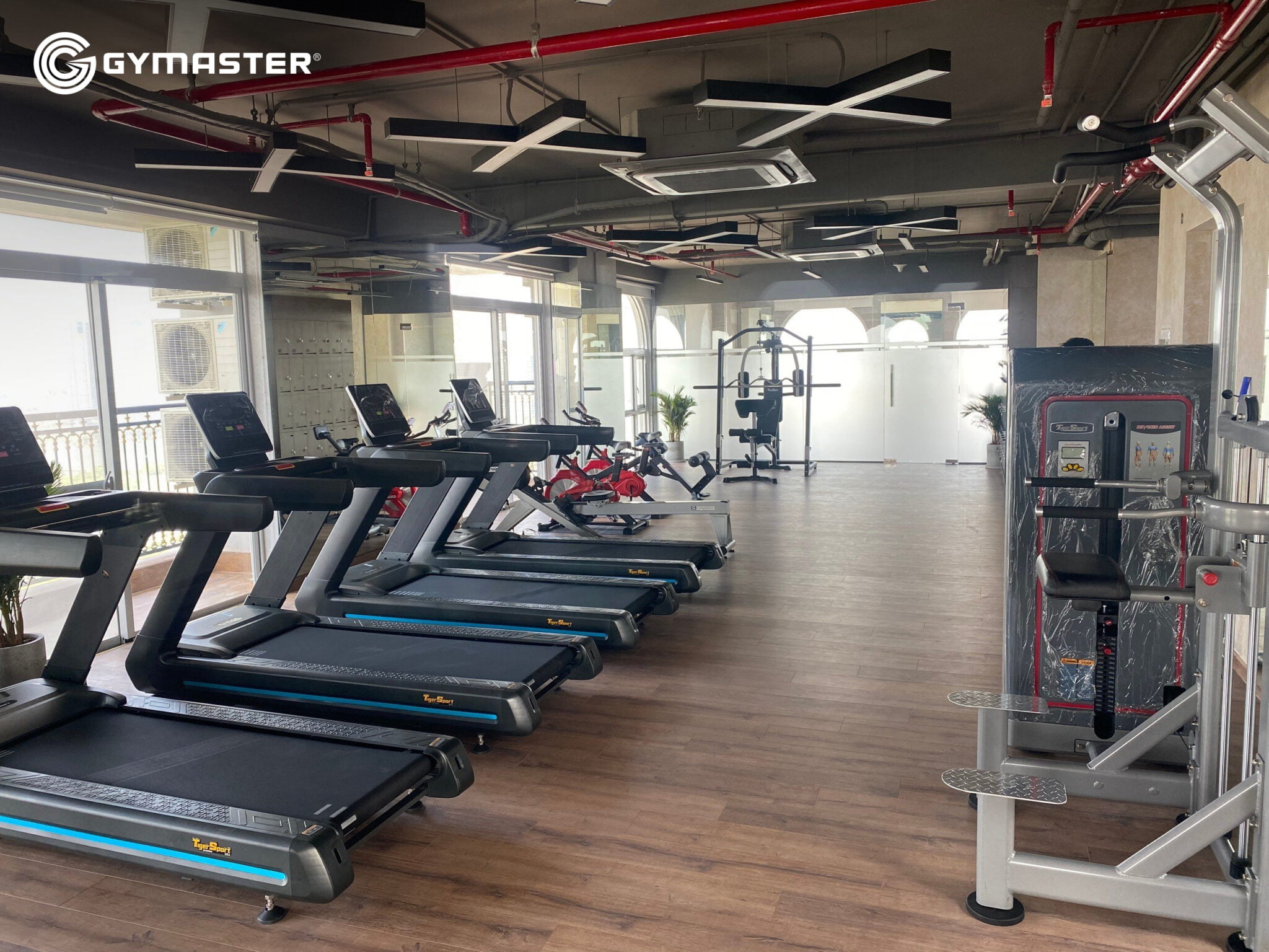 Tư Vấn Setup Phòng Gym Chung Cư Paris Hoàng Kim Tại Thủ Đức Gymaster