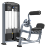 Back Extension Máy khối tập lưng TM-FF31Tiger Sport 2 Back Extension Máy khối tập lưng TM-FF31