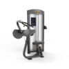 Triceps Extension Máy khối tay sau TGP-708