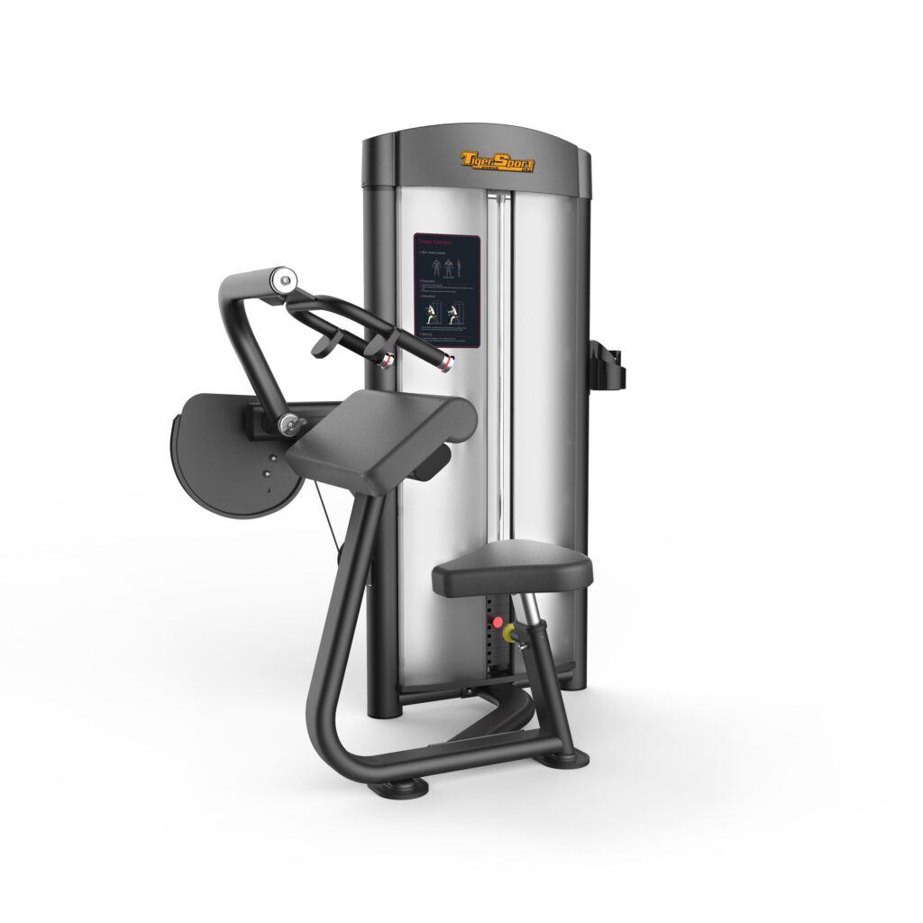 Triceps Extension Máy khối tay sau TGP-708