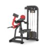 Biceps Curl Tiger Sport TM-FM09