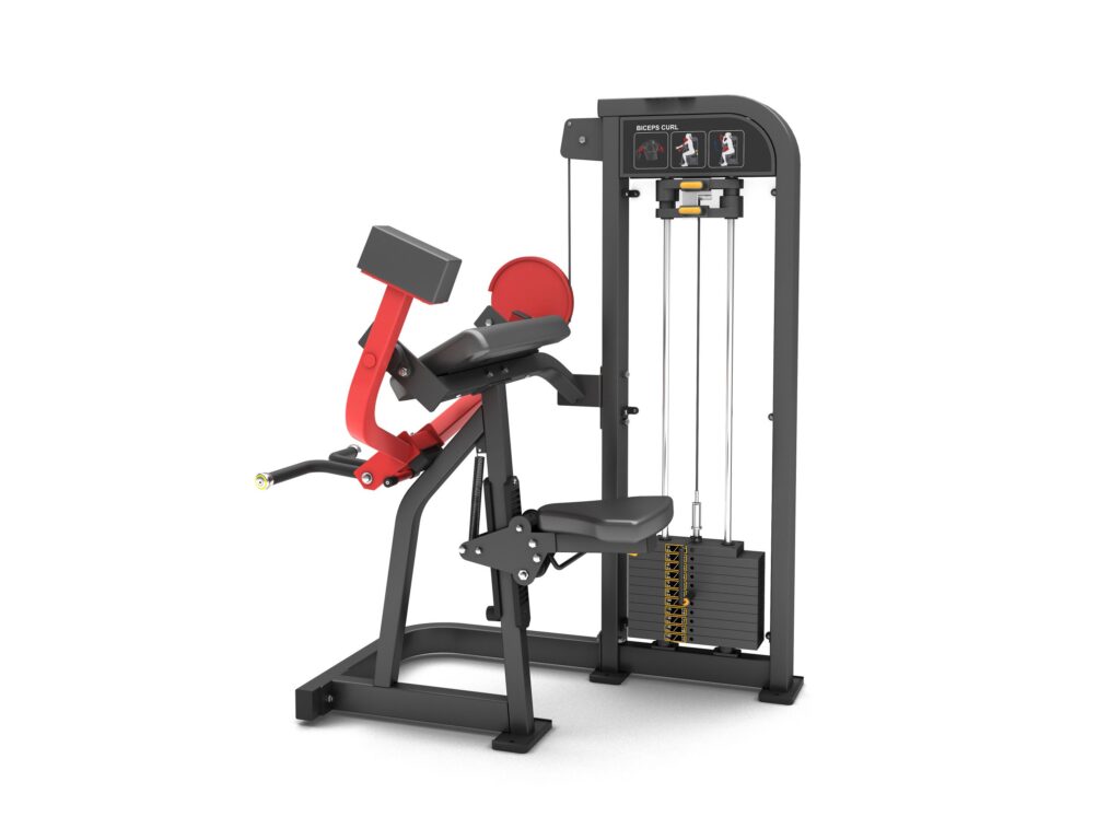 Biceps Curl Tiger Sport TM-FM09 2 Biceps Curl Tiger Sport TM-FM09
