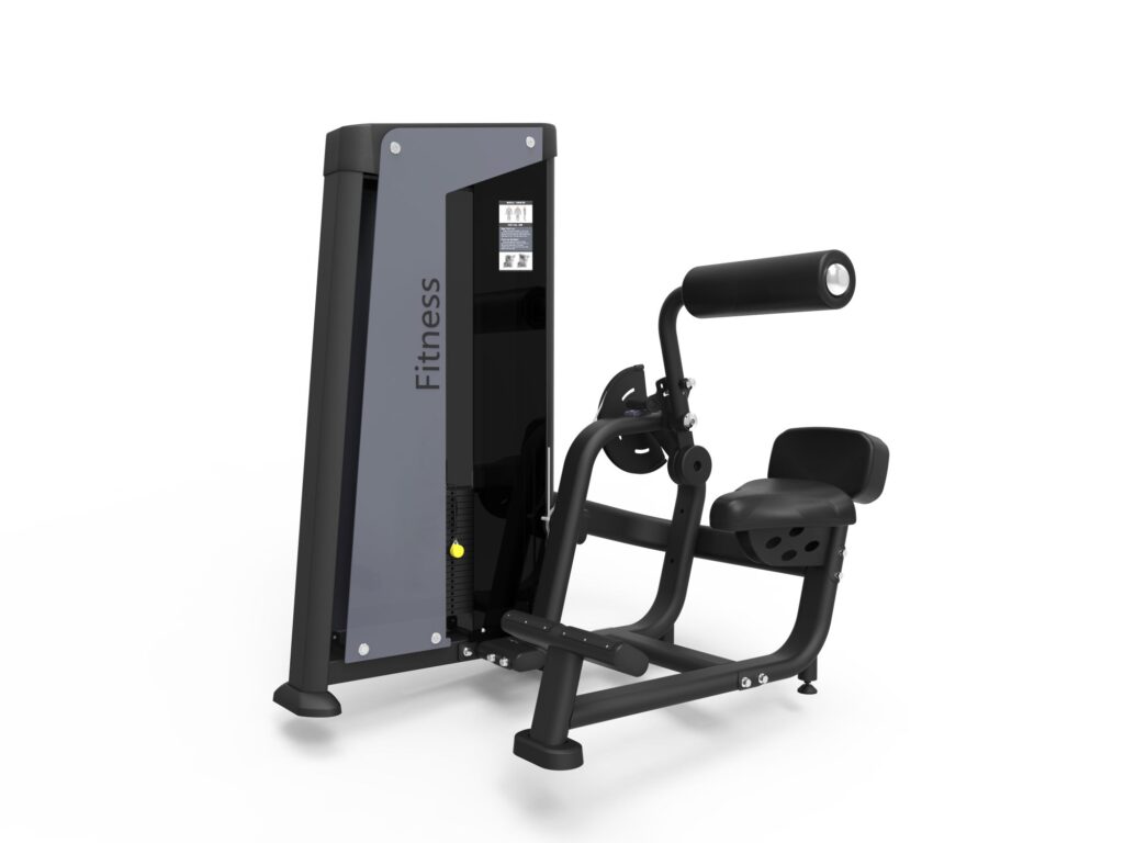 Back Extension Máy Tập Cơ Lưng Tiger Sport TM-FH31 2 Back Extension Máy Tập Cơ Lưng Tiger Sport TM-FH31