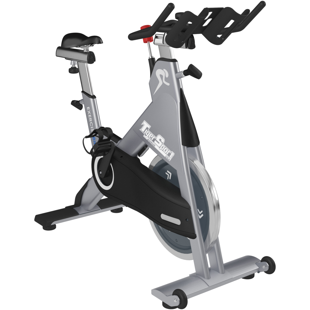 Exercise Bike Xe đạp tập Tiger Sport TM-D12