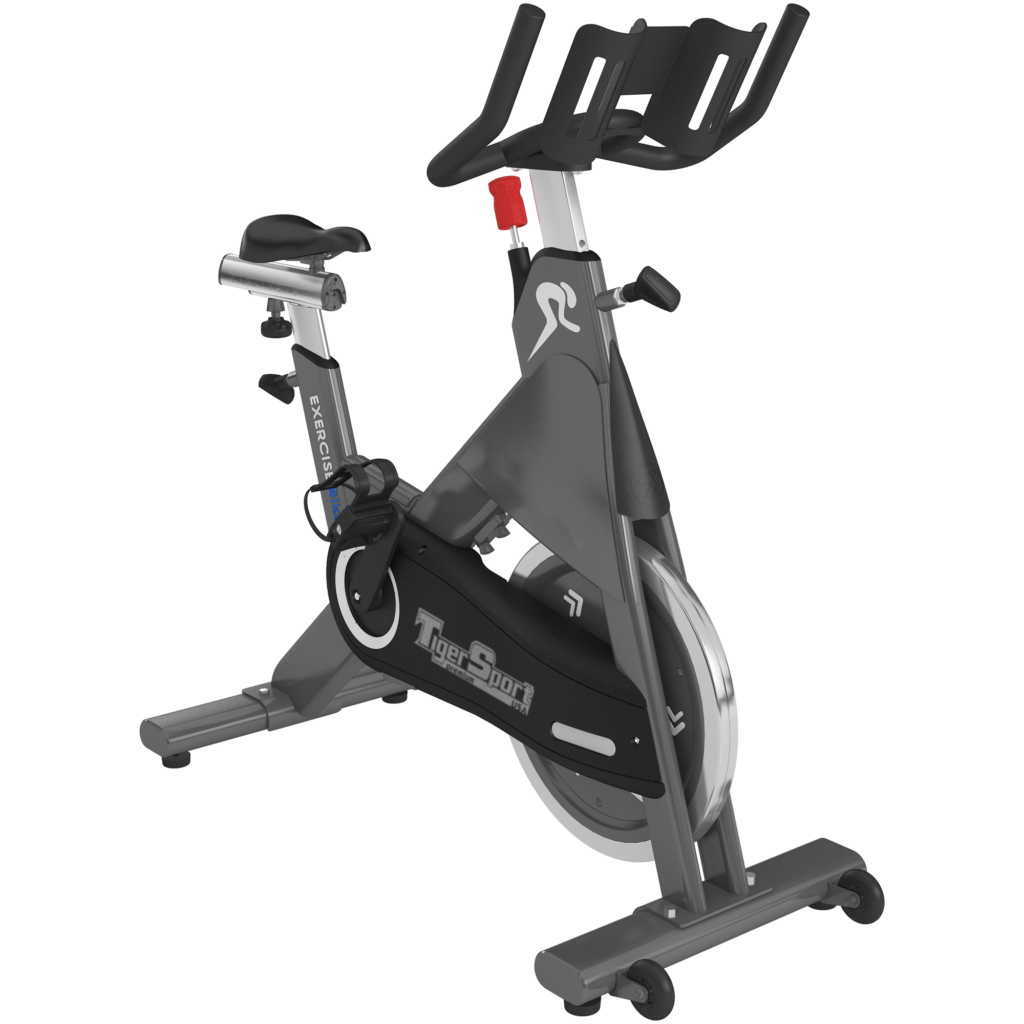 Exercise Bike Xe đạp tập Tiger Sport TM-D14