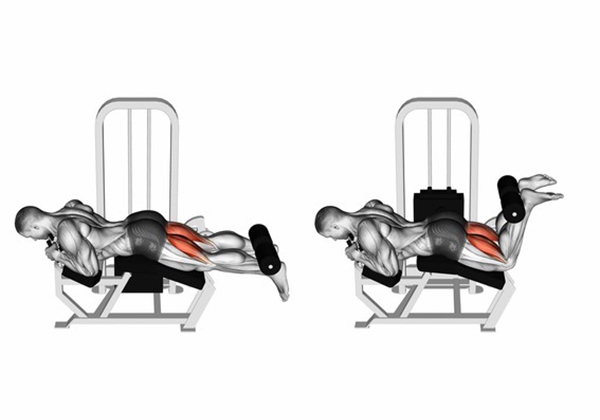 Chi Tiết Lịch Tập Chân, Cơ Bắp Chân 7 Ngày 7 Chi Tiết Lịch Tập Chân, Cơ Bắp Chân 7 Ngày 7