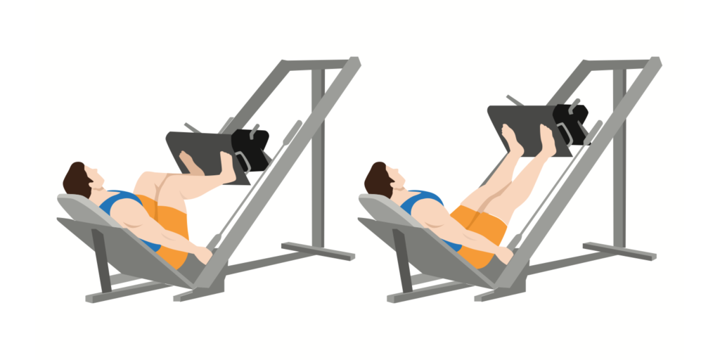 Chi Tiết Lịch Tập Chân, Cơ Bắp Chân 7 Ngày 5 Chi Tiết Lịch Tập Chân, Cơ Bắp Chân 7 Ngày 5