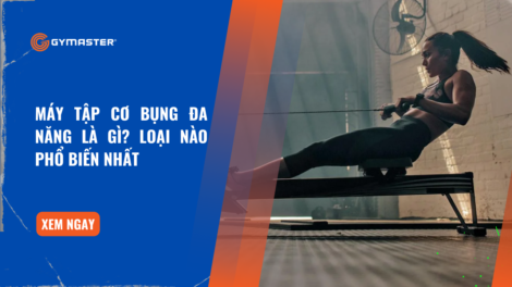 Máy Tập Cơ Bụng Đa Năng Là Gì? Loại Nào Phổ Biến Nhất 43