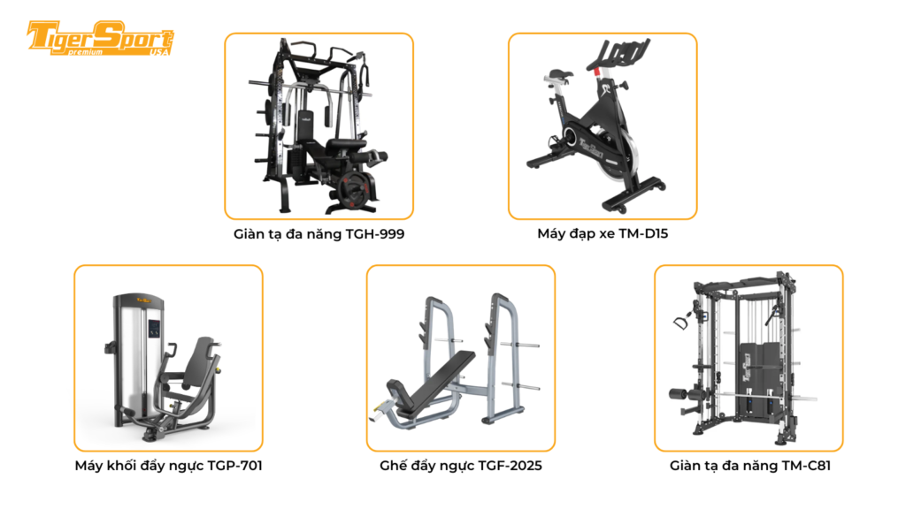 TƯ VẤN SET UP PHÒNG GYM NA'S GYM ĐỒNG THÁP 5