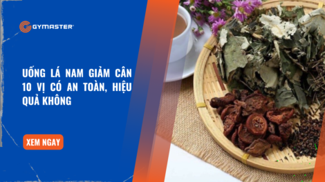 Uống Lá Nam Giảm Cân 10 vị Có An Toàn, Hiệu Quả Không 9