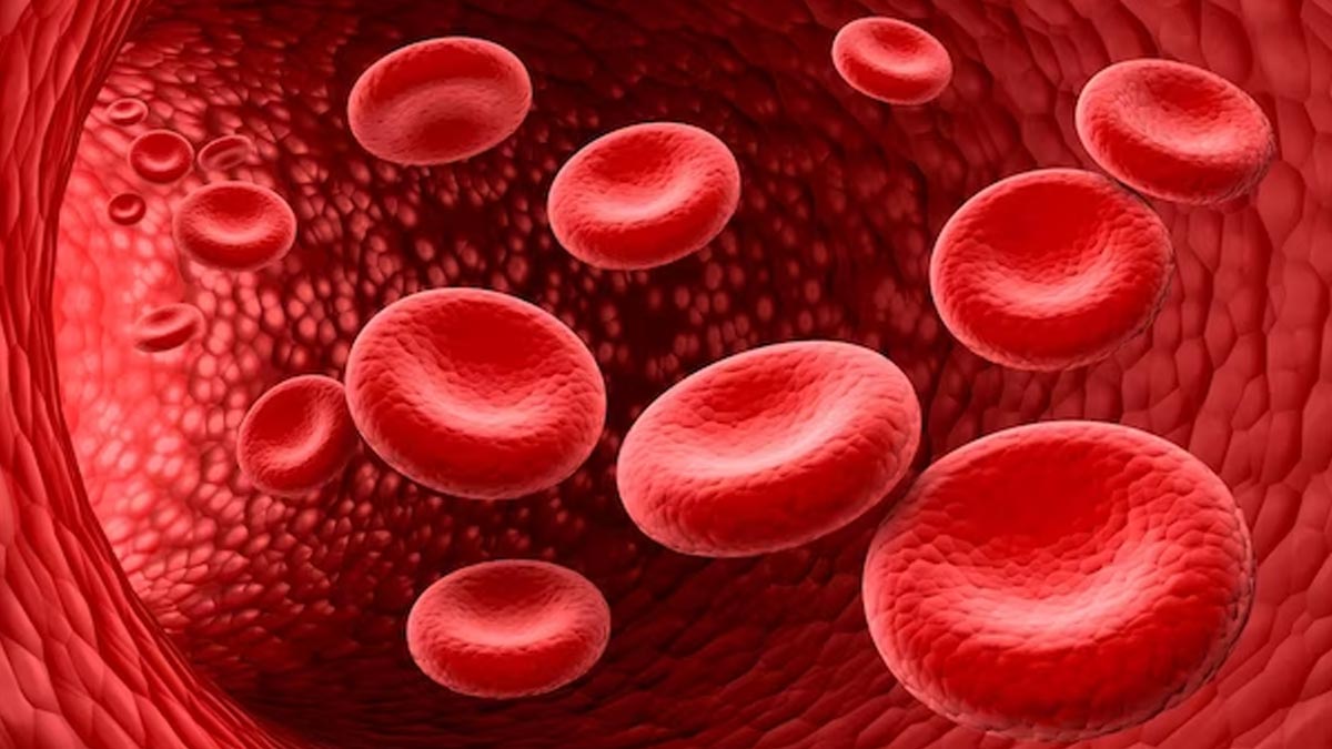 Thuốc Bổ Máu Cho Người Gầy Là Gì? Thành Phần & Hiệu Quả 2 Thuốc Bổ Máu Cho Người Gầy Là Gì? Thành Phần & Hiệu Quả 2