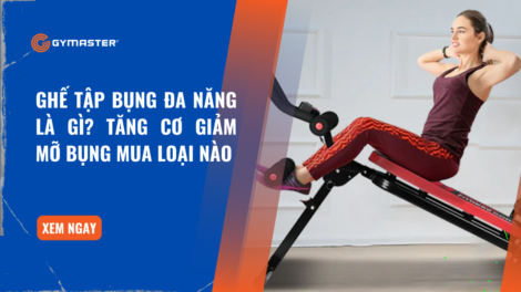 Ghế Tập Bụng Đa Năng Là Gì? Tăng Cơ Giảm Mỡ Bụng Mua Loại Nào 10