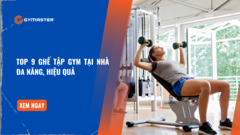 Top 9 Ghế Tập Gym Tại Nhà Đa Năng, Hiệu Quả 1