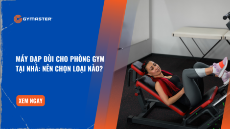 Máy Đạp Đùi Cho Phòng Gym Tại Nhà: Nên Chọn Loại Nào? 31