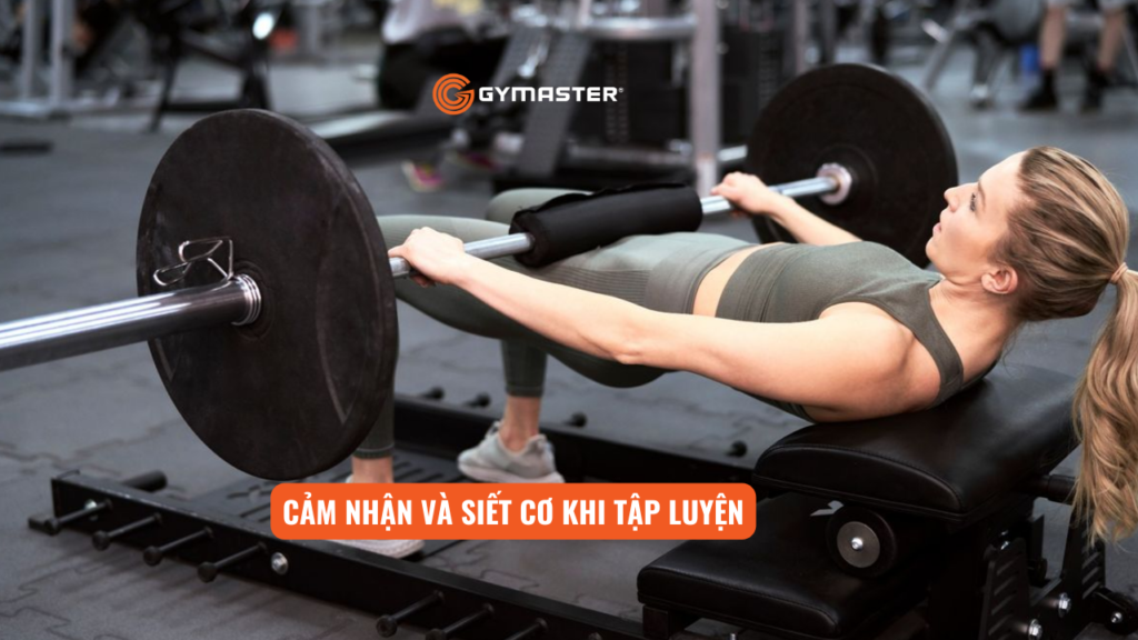 Máy Tập Mông Cho Người Mới Bắt Đầu: Tập Máy Nào Phù Hợp 3