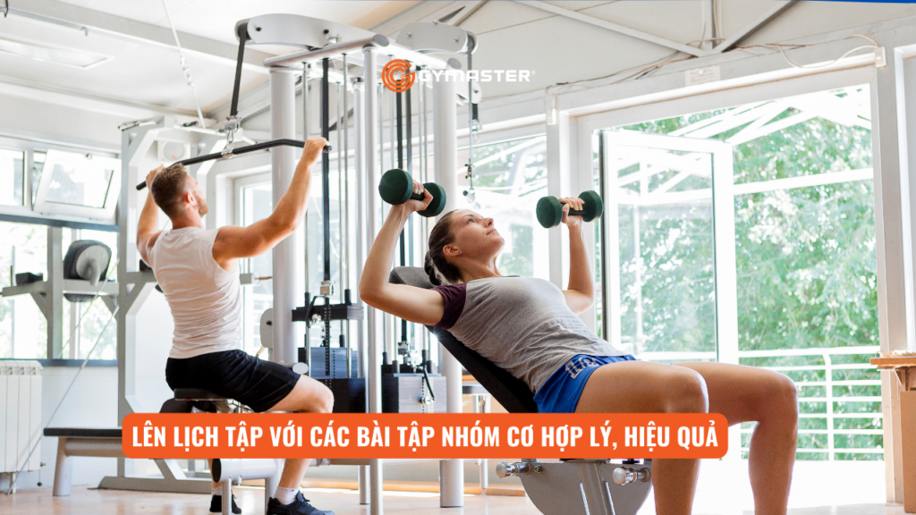 Tập Gym Với Giàn Tạ Đa Năng Tại Nhà: Lịch Tập Gym 3-5 ngày/tuần Cho Nam Và Nữ 2