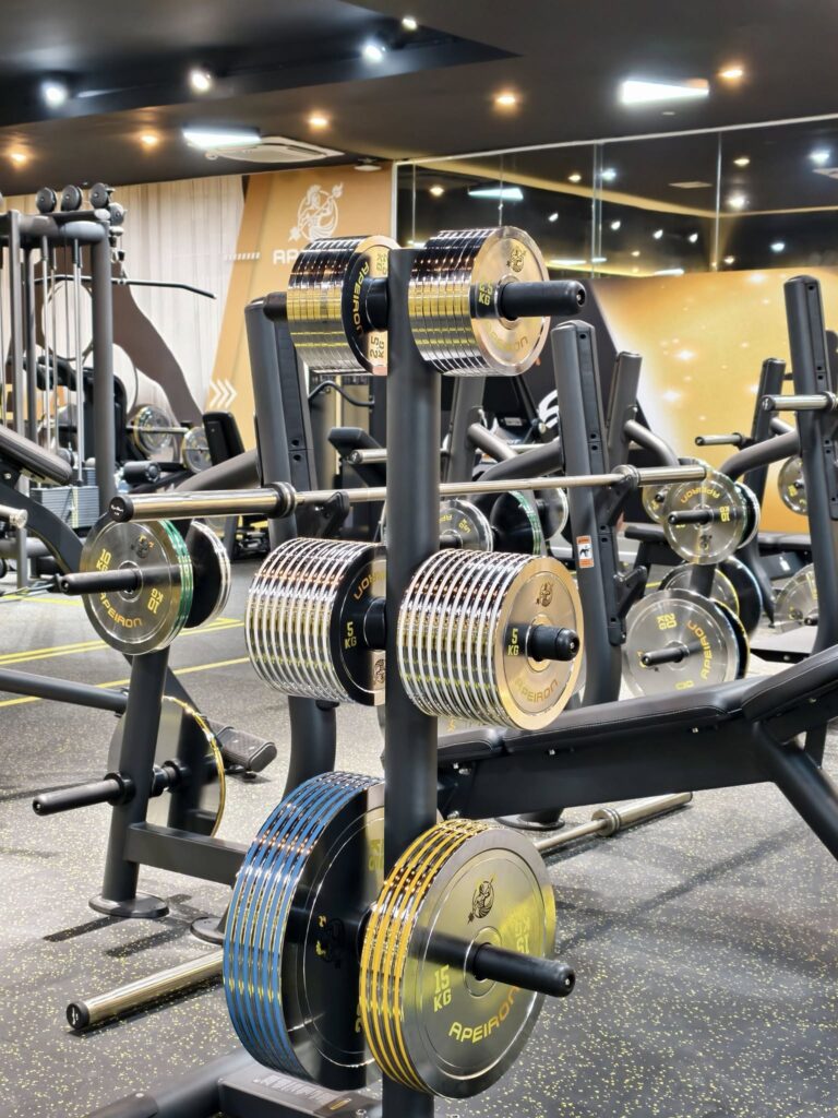Tại Sao Nên Đầu Tư Thiết Bị Gym Nhập Khẩu Cho Phòng Gym Mini Tại Nhà? 1