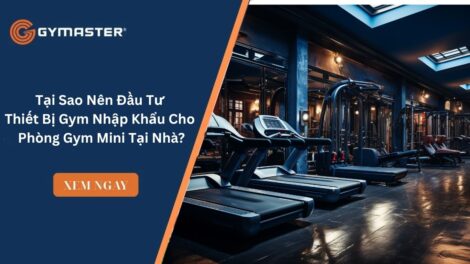 Tại Sao Nên Đầu Tư Thiết Bị Gym Nhập Khẩu Cho Phòng Gym Mini Tại Nhà?