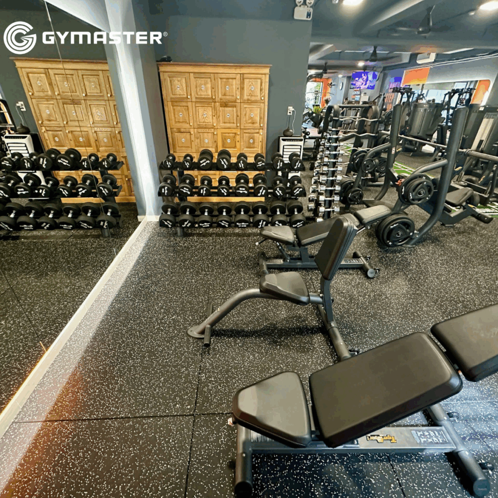 GYMASTER TƯ VẤN SETUP PHÒNG GYM LEONTINA CHI NHÁNH 2 – TIẾP BƯỚC THÀNH CÔNG 10