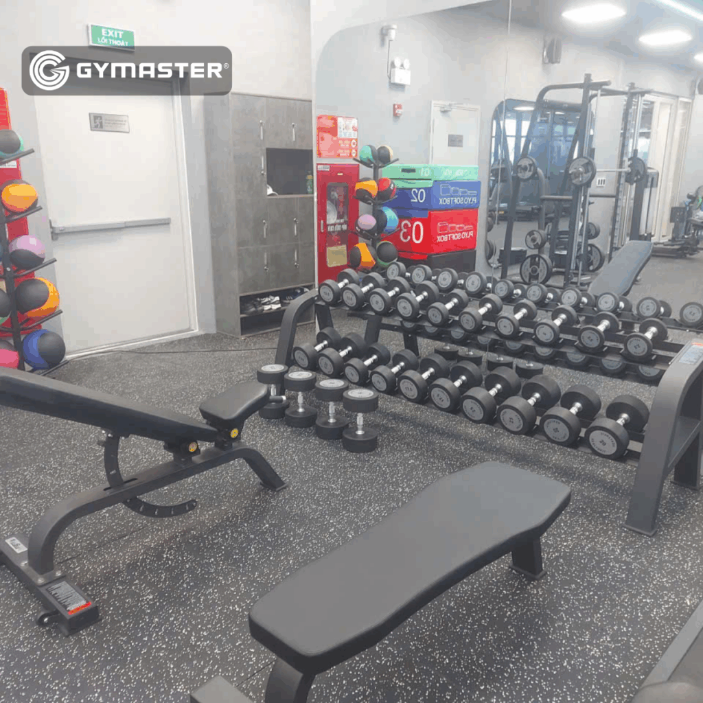 GYMASTER TƯ VẤN SETUP THÀNH CÔNG PHÒNG GYM 2H FITNESS CENTER TẠI SUNSHINE GREEN ICONIC LONG BIÊN 10 GYMASTER TƯ VẤN SETUP THÀNH CÔNG PHÒNG GYM 2H FITNESS CENTER TẠI SUNSHINE GREEN ICONIC LONG BIÊN 10
