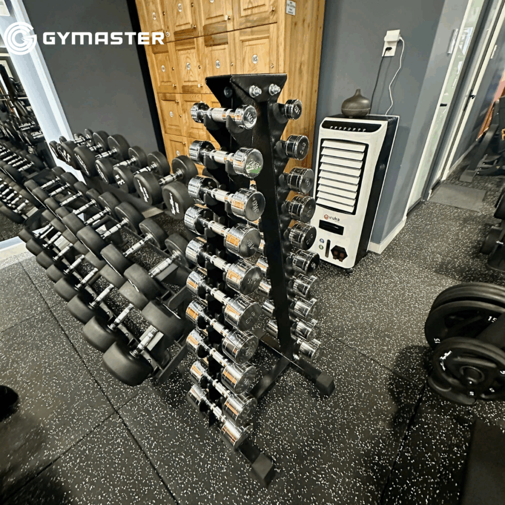 GYMASTER TƯ VẤN SETUP PHÒNG GYM LEONTINA CHI NHÁNH 2 – TIẾP BƯỚC THÀNH CÔNG 12