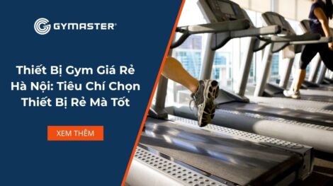 Thiết Bị Gym Giá Rẻ Hà Nội: Tiêu Chí Chọn Thiết Bị Rẻ Mà Tốt