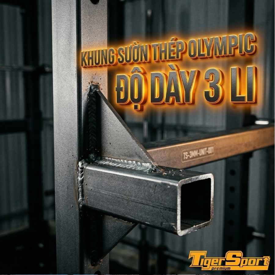 GIÀN TẠ ĐA NĂNG TIGER SPORT TGH-X3 16