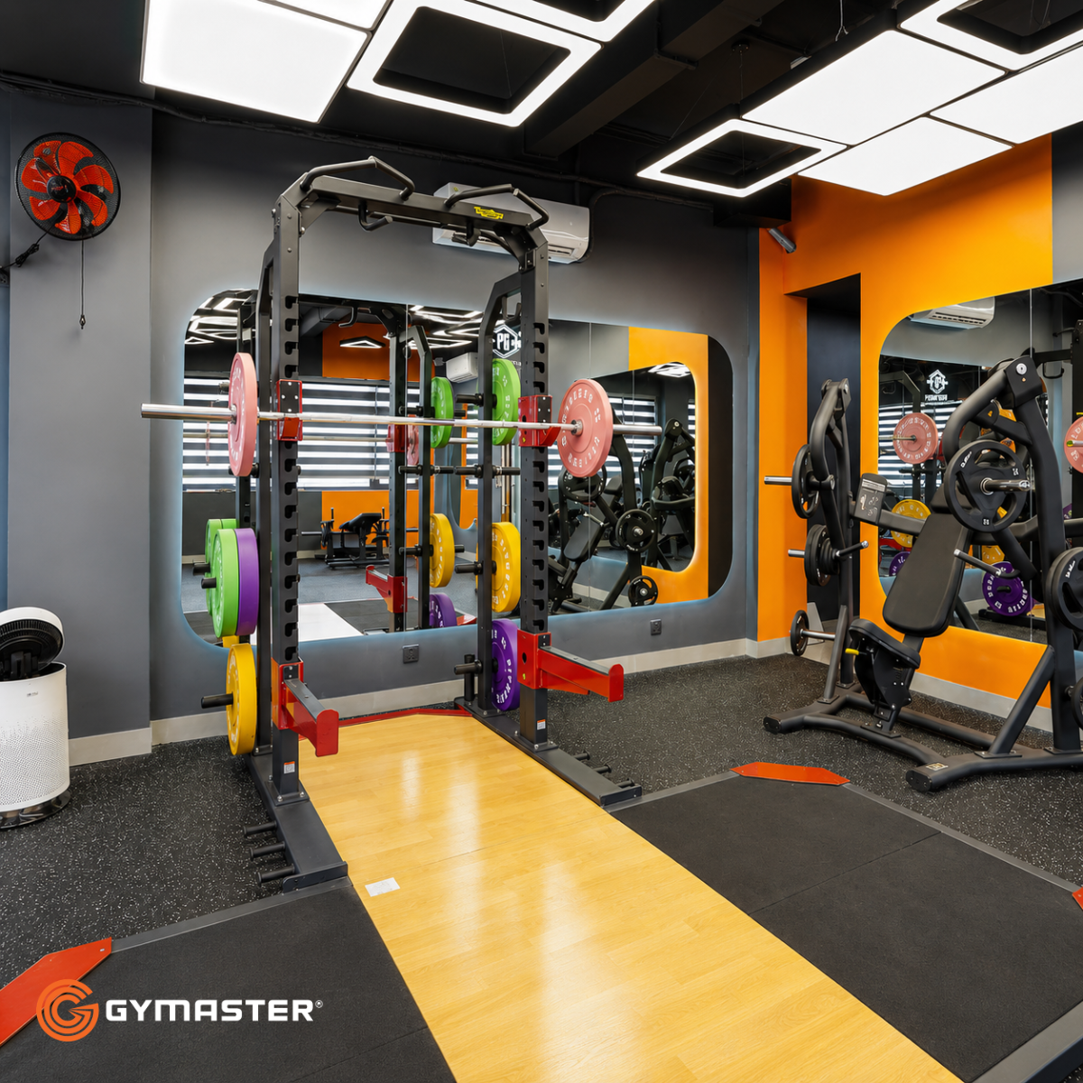 Kinh Doanh Gym Freelance: Hướng Dẫn Toàn Diện Để Khởi Nghiệp và Phát Triển Bền Vững 3